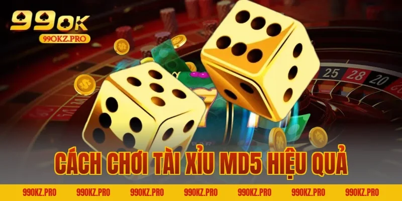 Cách Chơi Tài xỉu MD5 Hiệu Quả