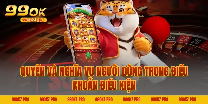 Quyền và nghĩa vụ người dùng trong Điều khoản điều kiện